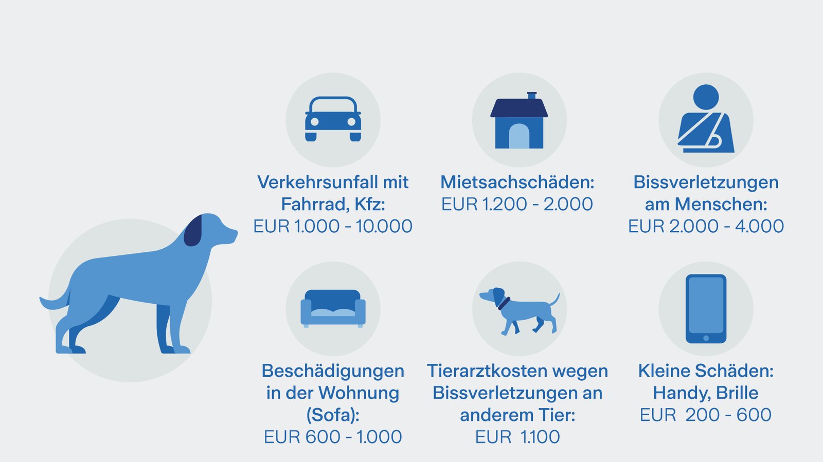 hundeversicherung_so-teuer-wird-es Informationsgrafik zu Hundehaftpflichtschäden mit Kostenangaben: Verkehrsunfälle, Mietsachschäden, Bissverletzungen an Menschen und Tieren, sowie kleine Schäden wie Handy oder Brille.