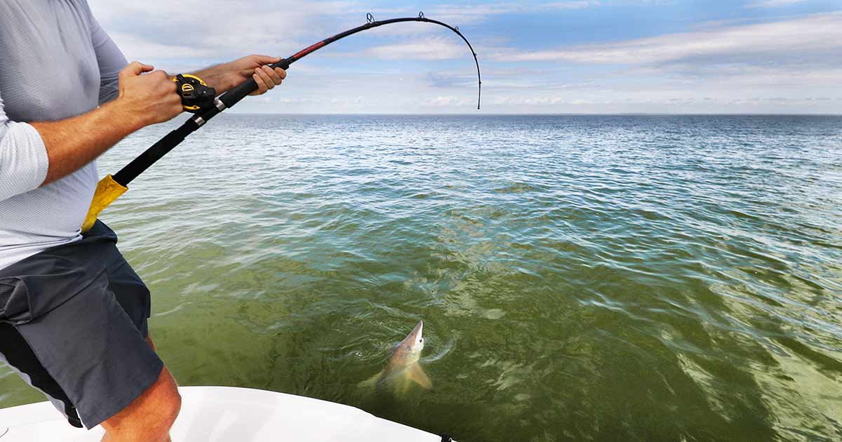 angel_1200x630_2021_03