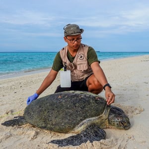 heckenretter_300x300_2024_09