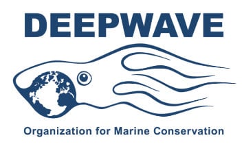 DEEPWAVE