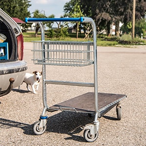 einkaufswagen_300x300_2021_11 einkaufswagen_300x300_2021_11