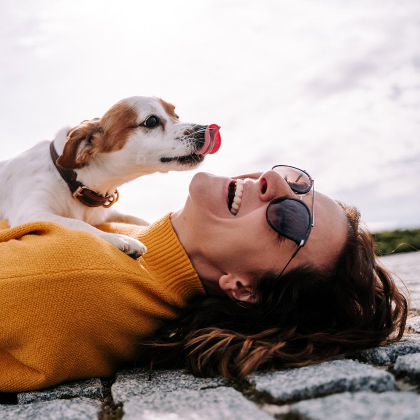 Hund leckt lachender Frau das Gesicht ab