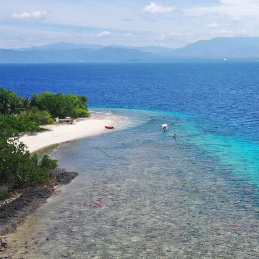 korallen-mangroven_850x850_2024_01 Strand in den Philippinen