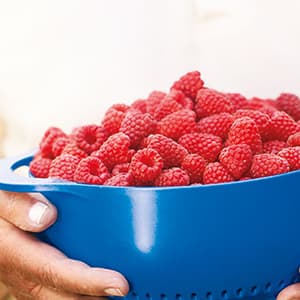 kundenorientierung_300x300_2020_11 kundenorientierung_300x300_2020_11