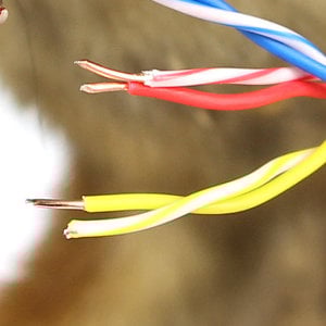 marder-zernagt-kabel_300x300_2024_08