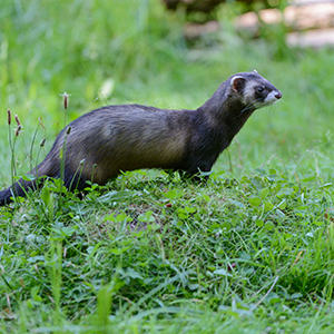 DRJBJY_300x300_2021_10 DRJBJY_300x300_2021_10