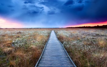 moonpartnerschaft_352x220_2023_07