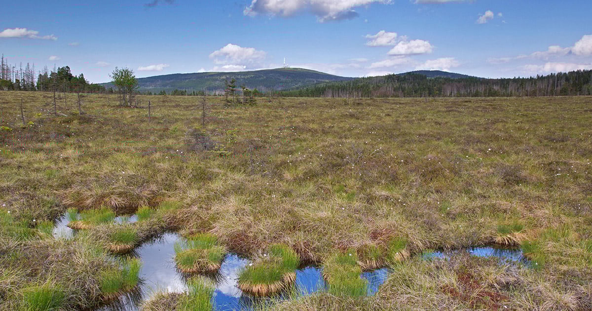 leuchtturm_1200x630_2021_10