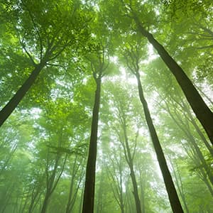 nachhaltige-fonds_300x300_2020_11 nachhaltige-fonds_300x300_2020_11