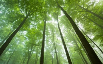 nachhaltige-fonds_352x220_2022_04 nachhaltige-fonds_352x220_2022_04