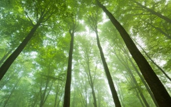 nachhaltige-fonds_352x220_2023_07