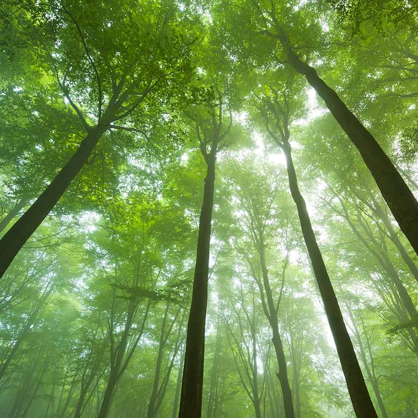 nachhaltige-fonds_850x850_2021_03 nachhaltige-fonds_850x850_2021_03