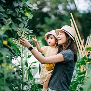 nachhaltigkeit-offenlegung_300x300_2021_02 nachhaltigkeit-offenlegung_300x300_2021_02