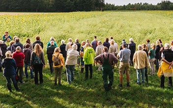 Netzwerk Blühende Landschaft 