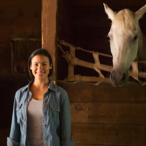 pferd-schaut-ueber-den-stall_300x300_2023_01 pferd-schaut-ueber-den-stall_300x300_2023_01