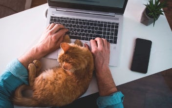 phishing-mails_352x220_2022_06 Phishing Mails