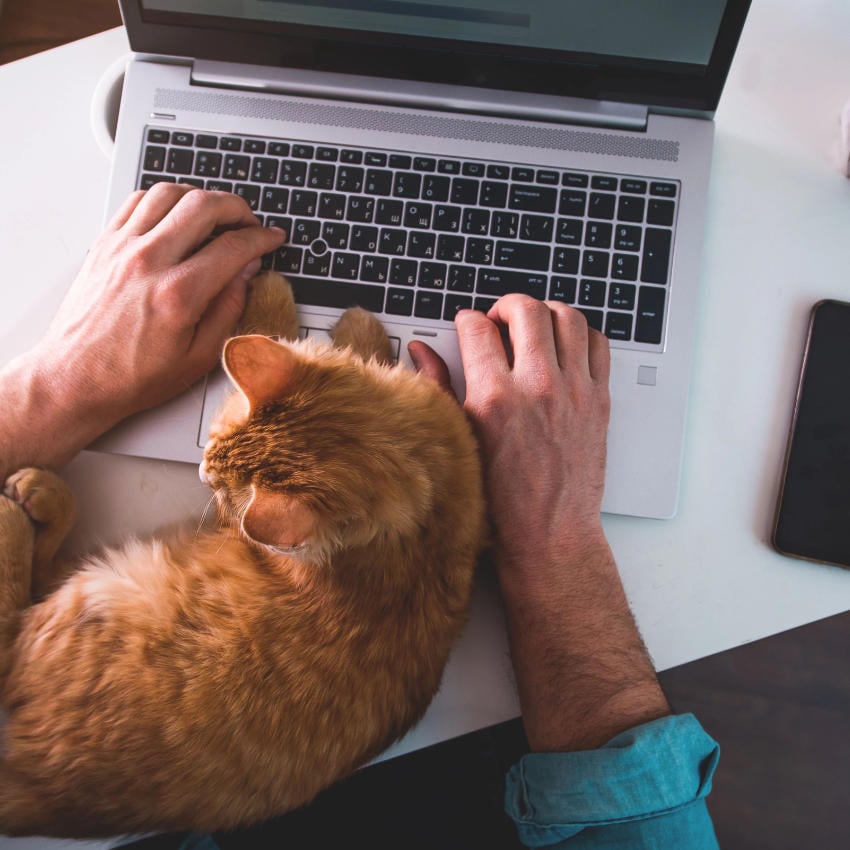 phishing_850x850_2022_05