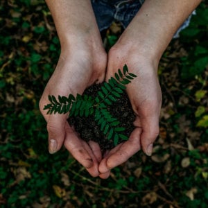 planet-hero-youtube_300x300_2023_10