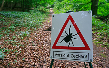 ratgeber-zeckenbiss_352x220_2022_05 ratgeber-zeckenbiss_352x220_2022_05