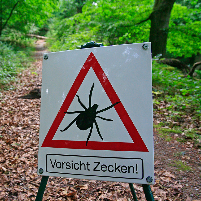 ratgeber-zeckenbiss_850x850_2022_05