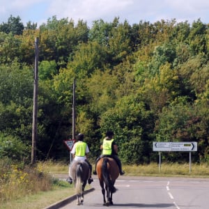 reiter-auf-einer-hauptsrasse_300x300_2023_01 eiter-auf-einer-hauptsrasse_300x300_2023_01