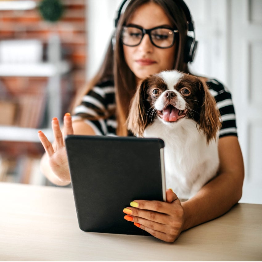 risikolv-kosten_850x850_2023_12