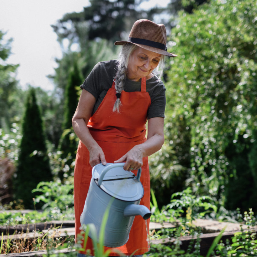 Ältere Frau wässert Beet mit Gießkanne