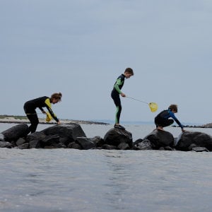 oneearth-oneocean_300x300_2024_09