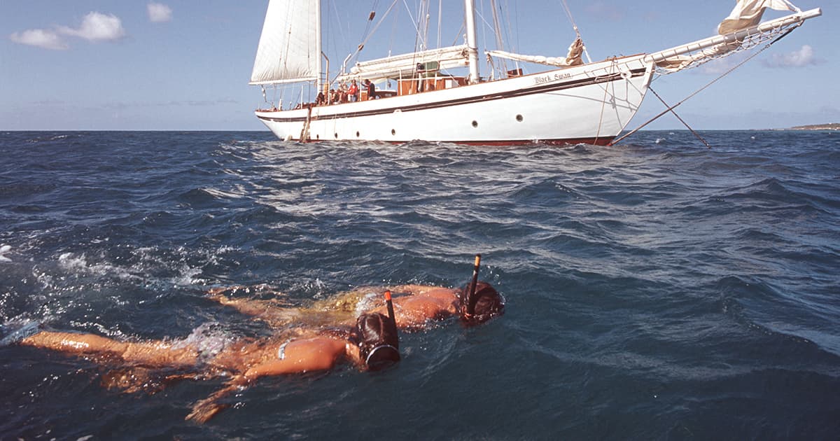 schwimmer_1200x630_2021_03