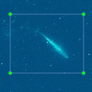 heckenretter_300x300_2024_09