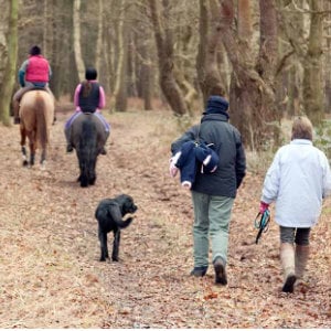 spaziergang-mit-hund_300x300_2024_06 spaziergang-mit-hund_300x300_2024_06