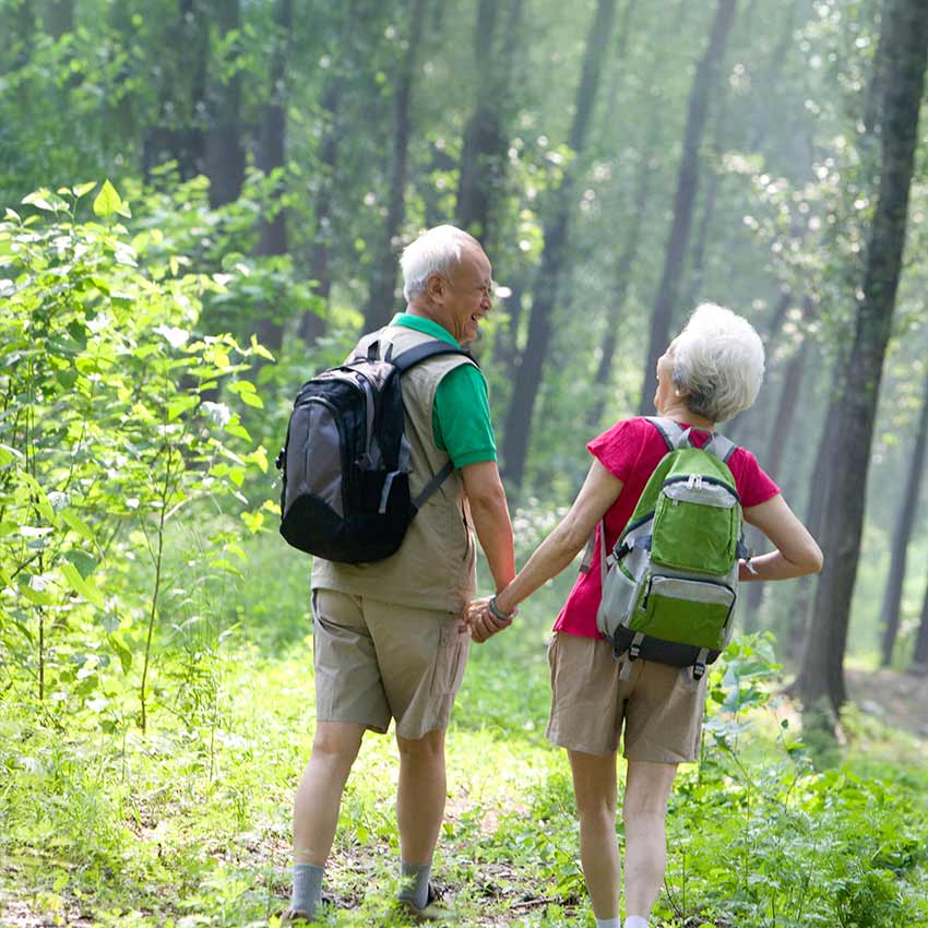 testament_850x850_2021_02 testament_850x850_2021_02