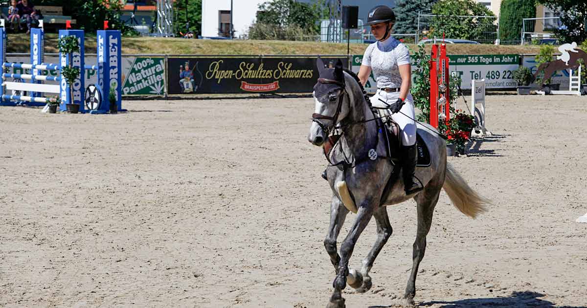 katze-beim-tierarzt_1200x630_2021_07