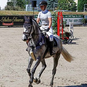 Ein trabendes Pferd mit einer Reiterin