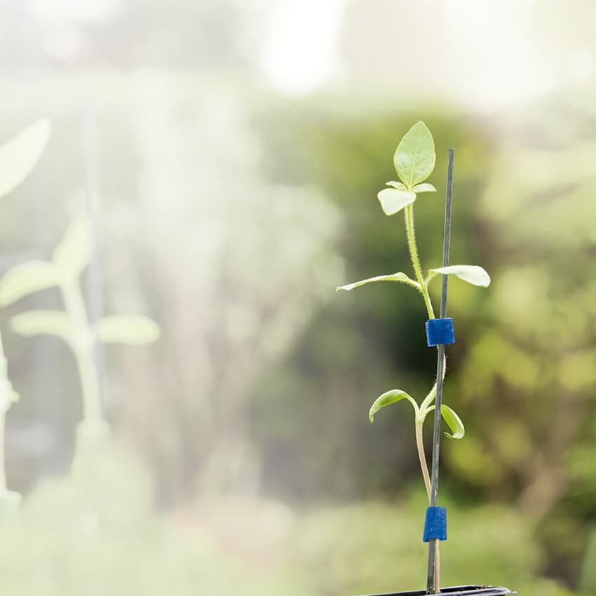 unternehmer-im-fokus_850x850_2021_03