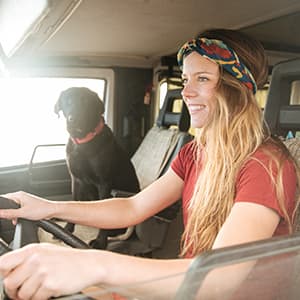 Wohnmobil-mit-Hund_300x300_2021_03