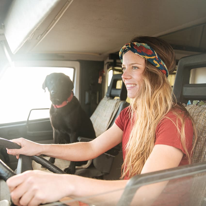 Wohnmobil-mit-Hund_850x850_2021_03 Wohnmobil-mit-Hund_850x850_2021_03