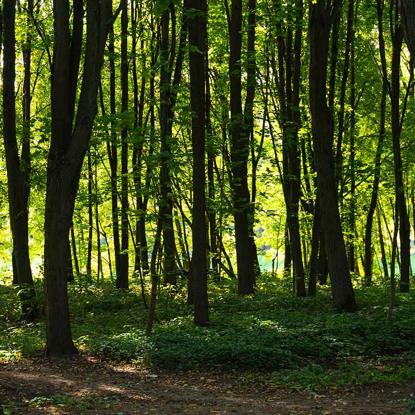 zurich-green-week_850x850_2021_03 zurich-green-week_850x850_2021_03