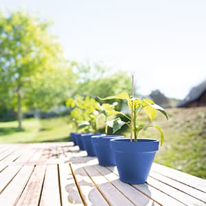 betriebliche-altersvorsorge_300x300_2020_11 betriebliche-altersvorsorge_300x300_2020_11