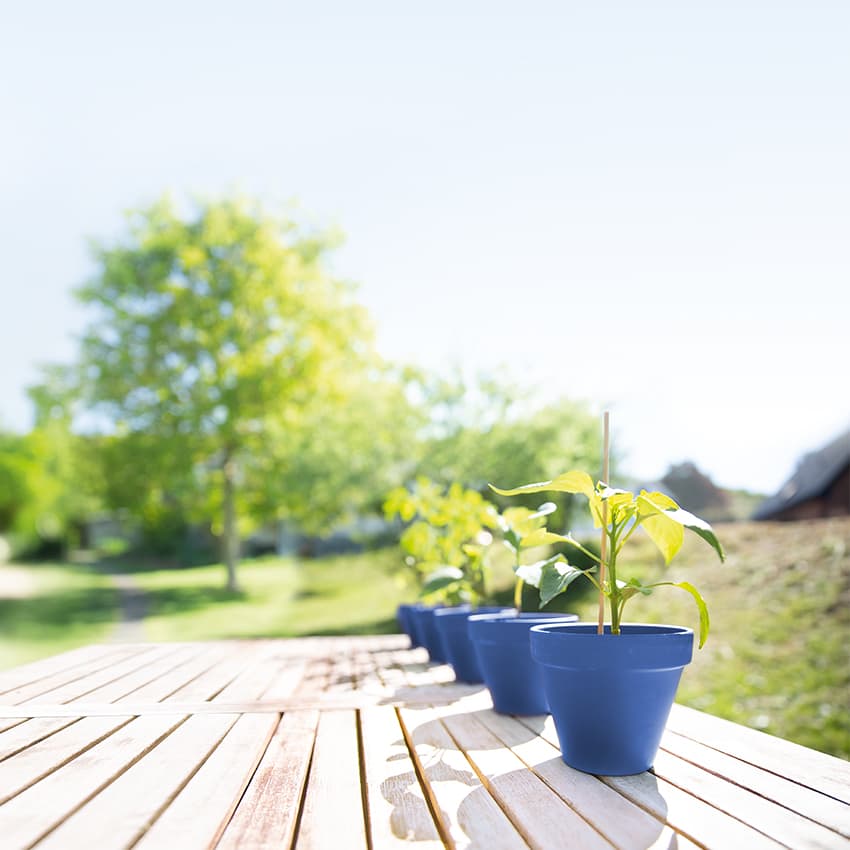 betriebliche-altersvorsorge_850x850_2021_03 betriebliche-altersvorsorge_850x850_2021_03