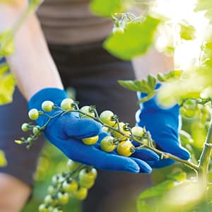 digitaler-gutachtenservice_300x300_2020_12 digitaler-gutachtenservice_300x300_2020_12