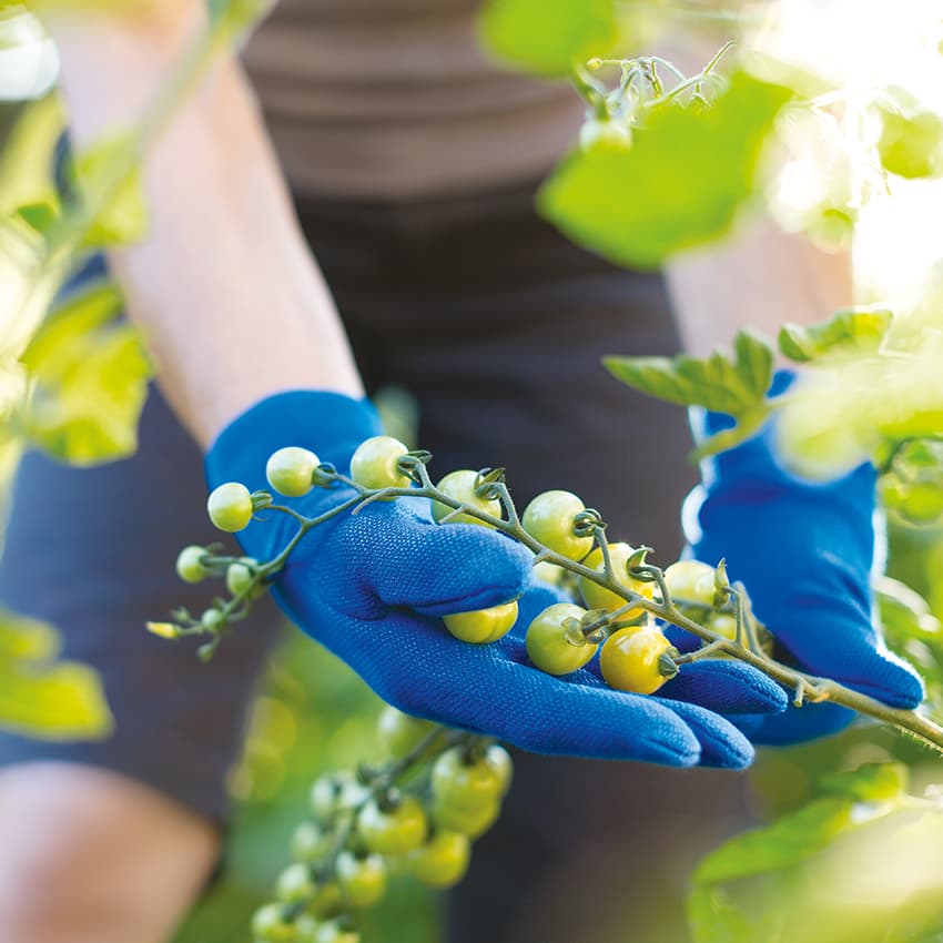 digitaler-gutachtenservice_850x850_2021_03