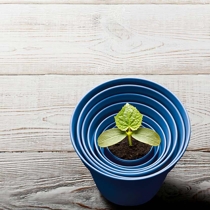 direktversicherung_850x850_2021_02 direktversicherung_850x850_2021_02