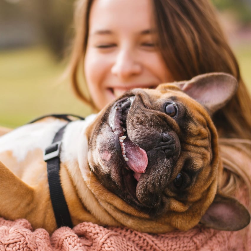 hundehalterhaftpflicht_850x850_2020_11 Mädchen und Hund in Bett