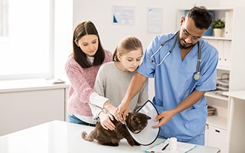 op-versicherung-fuer-tiere_352x220_2021_11 op-versicherung-fuer-tiere_352x220_2021_11