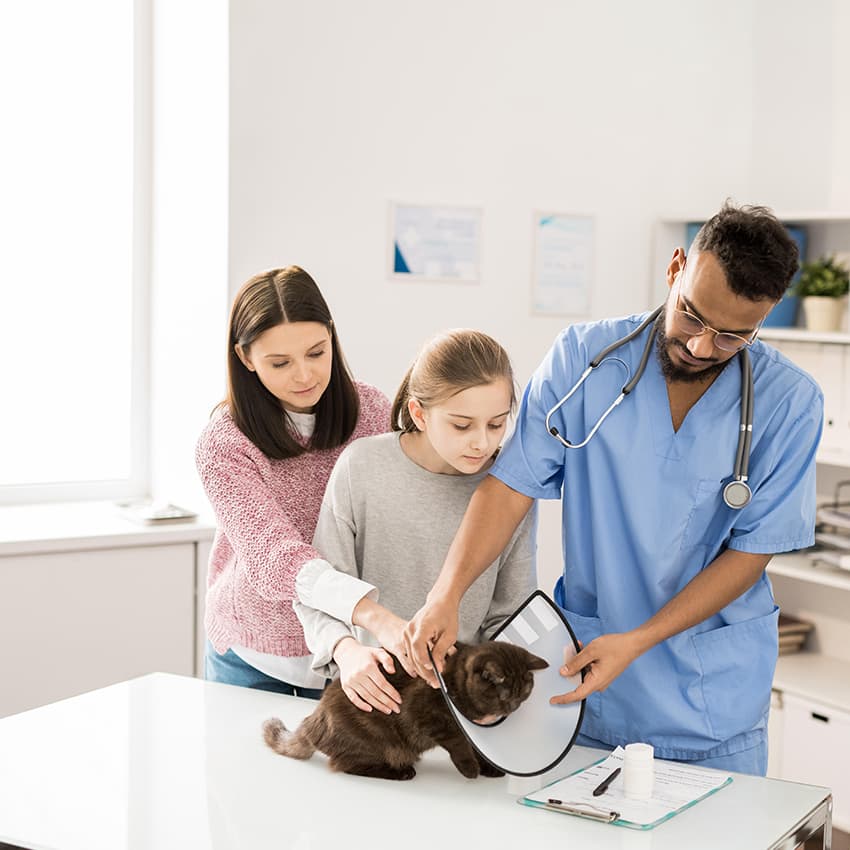 op-versicherung-fuer-tiere_850x850_2021_03 op-versicherung-fuer-tiere_850x850_2021_03