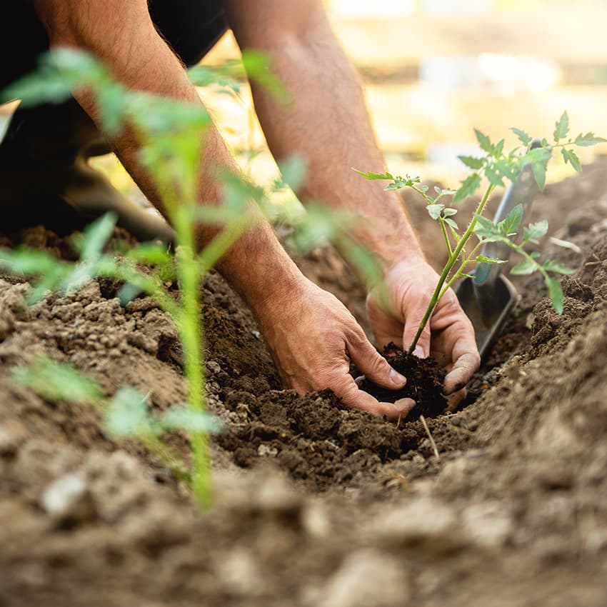 pensionszusage_850x850_2021_03 pensionszusage_850x850_2021_03