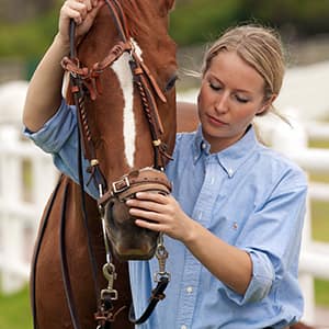 pferdehalter-haftpflicht_300x300_2020_11 Frau mit Pferd
