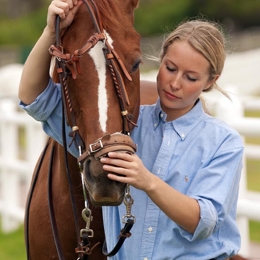 pferdehalter-haftpflicht_850x850_2020_11 Frau mit Pferd