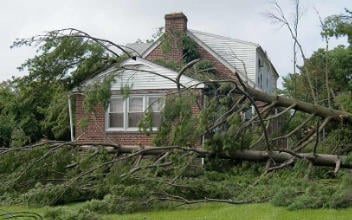 sturmschaden-352x220 sturmschaden-352x220